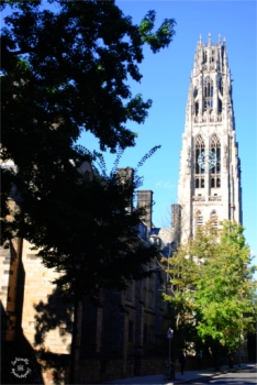 The Campus Tower